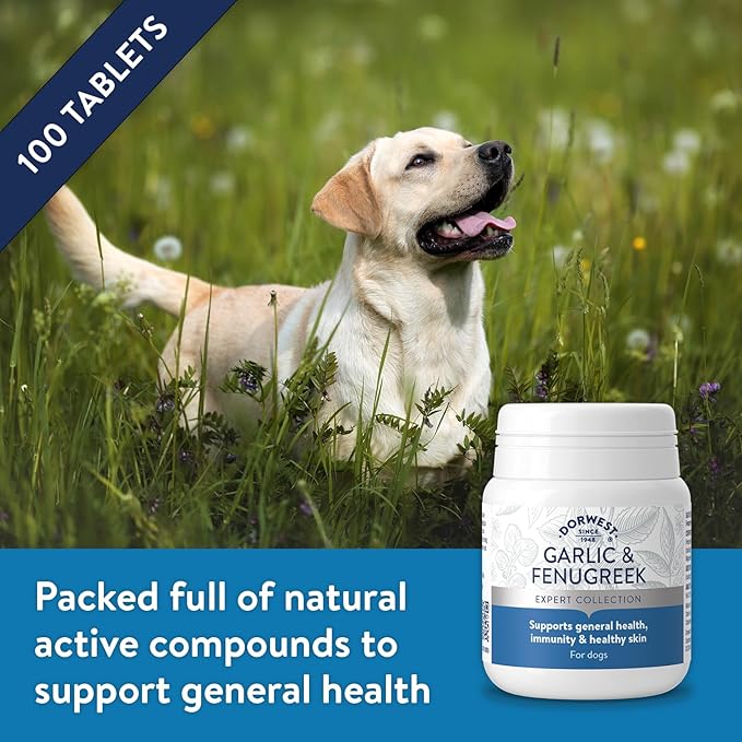 Dorwest Herbs Garlic And Fenugreek Tablets For Dogs And Cats 100 Tablets