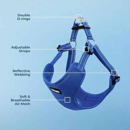 Best Pet Supplies Voyager Adjustable Step-in Flex Breathable Mesh Dog Harness for Small Medium Large Dogs (Royal Blue), XS