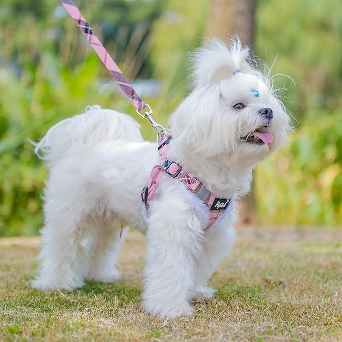 PUPTECK Dog Harness and Leash Set Small Sized, Step in No Pull Adjustable Puppy Cat Harness Reflective Pet Vest