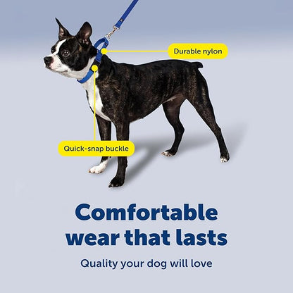 PetSafe Martingale Collar with Quick-Snap Buckle - Adjustable No-Slip Quick Release Dog Collar - Everyday Wear No-Pull Training Aid - 3/4" Wide - Small - Royal Blue