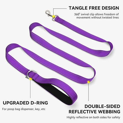 Joytale Dog Leash, 6 FT Double-Sided Reflective, Padded Handle Nylon Heavy Duty Leashes for Medium & Large Dogs Walking, Purple