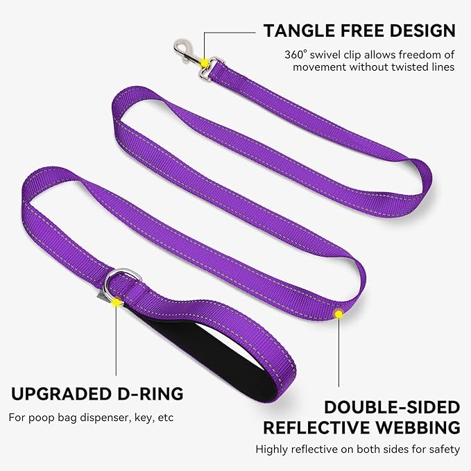 Joytale Dog Leash, 4 FT Double-Sided Reflective, Padded Handle Nylon Heavy Duty Leashes for Medium & Large Dogs Walking, Purple