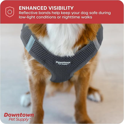 Downtown Pet Supply Step-in Dog Harness – No Pull, Adjustable Padded Mesh with Reflective Trim, Secure Buckle Strap – Comfortable & Breathable Small Dog Harness, Medium, Charcoal