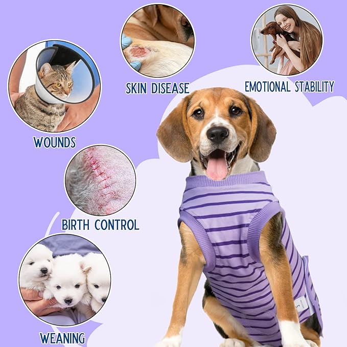 Dog Recovery Suit, Surgical Recovery Suit for Male Female Dogs Cats Spayed Onesie After Surgery, Dog Post Surgery Suit Anti Licking & Biting Surgical Shirt with Pee Hole，Purple Large