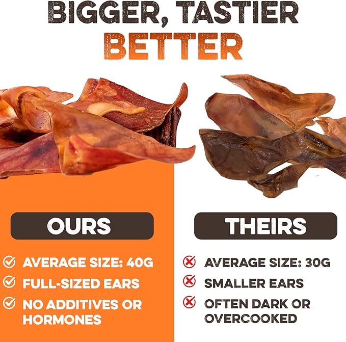 BRUTUS & BARNABY Whole Pig Ears for Dogs, 12 Ct. – All-Natural Single Ingredient Dog Chews, Slow Cooked & Fully Digestible Rawhide Alternative