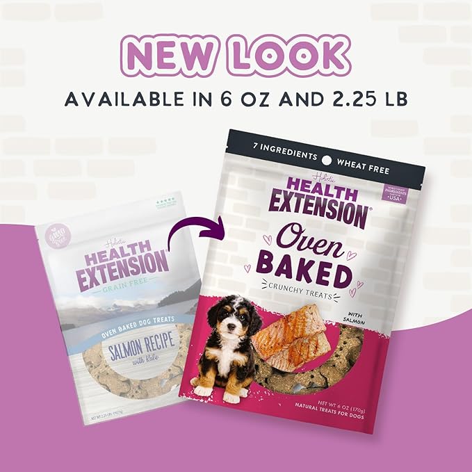 Health Extension Oven-Baked Dog Treats, Salmon Recipe – Gluten & Wheat-Free, Superfood-Infused, Crunchy Biscuits for Puppy Training (2.25 lb)