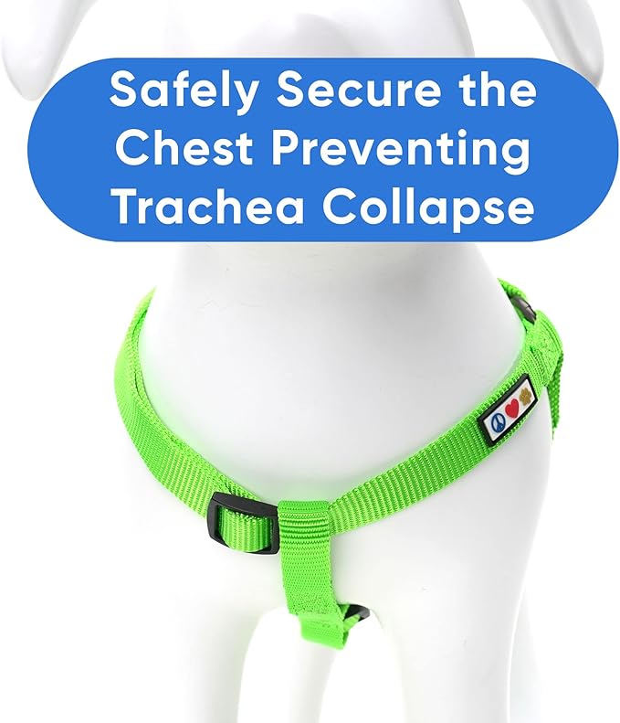 Pawtitas Solid Step-in Dog Harness – Adjustable No-Pull Vest for Puppies to Seniors, Safe & Comfortable S Green