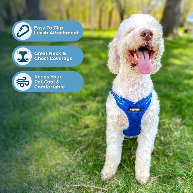Best Pet Supplies Voyager Adjustable Step-in Flex Breathable Mesh Dog Harness for Small Medium Large Dogs Leash Set (Royal Blue), XS
