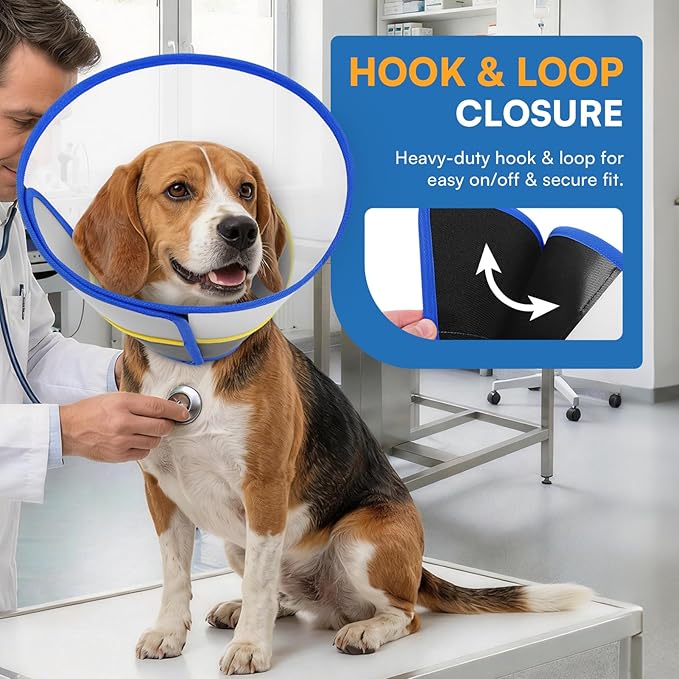 Queenmore Soft Dog Cone Collar for Dogs and Cats After Surgery, Flexible Plastic Cone for Dogs, Dog Recovery Collar, Elizabeth E-Collar Pet Head Cones for Neutering Spay Injury, Blue Medium