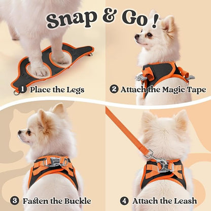rabbitgoo Dog Harness Small Sized and Leash Set, Step-in Breathable Pet Harness, Soft Walking Reflective Puppy Vest for Small Dogs, Black & Orange, XXS