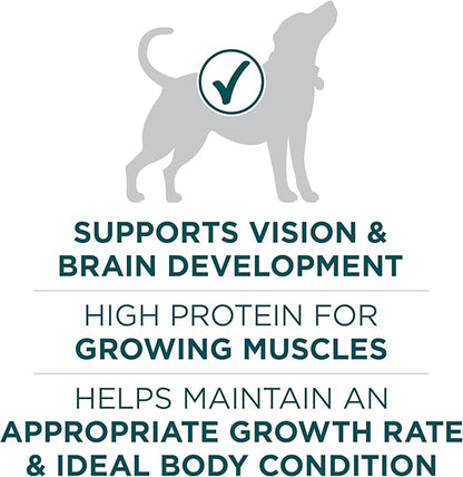 Purina ONE Plus Puppy Dry Dog Food for Large Dogs High Protein Growth Support, Real Chicken - 31.1 lb Bag