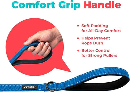 Best Pet Supplies Voyager Reflective Dog Leash or Collar with Neoprene Handle, for Small, Medium, and Large Breed Puppies, Cute and Heavy Duty for Walking, Running and Training - Royal Blue (Leash), L
