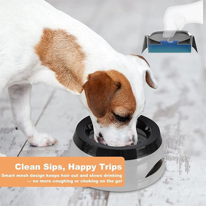 25oz Spill-Proof Dog Water Bowl – Slow Drink, No-Splash Pet Feeder for Small/Medium Dogs, Cats, Puppies & Kittens, Non-Slip Portable Bowl for Car, Travel, Home – Grey