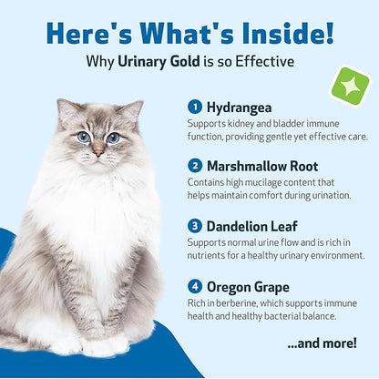 Pet Wellbeing Urinary Gold for Cats - Vet-Formulated Multi-Herb Urinary Tract Support - Feline Bladder Health & Urinary System Wellness - Holistic Cat Supplement - 2 oz (59ml) (4 fl oz (118 ml))