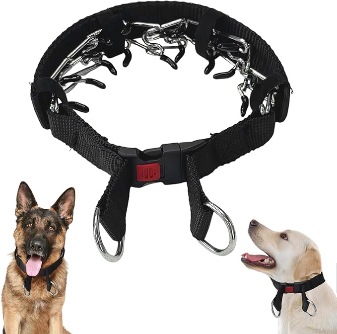 Dog Training Collar, Stainless Steel with Soft Rubber Cap, Adjustable with Quick Release Buckle (M)