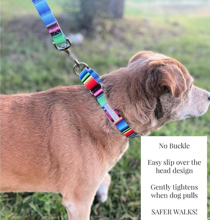 Lucky Love Dog Martingale Dog Collar - Adjustable, No-Slip, Durable, & Soft Webbing Collar for Male and Female Dogs Ideal for Training & Walking - Nacho, Large