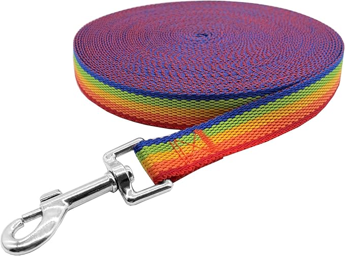 Nylon Training Dog Leash for Small Medium Large Dogs, 15ft 20ft 30ft 50ft Long Leash Dog/Puppy Lead for Obedience Recall Training, Camping (1" x 15ft, Rainbow)