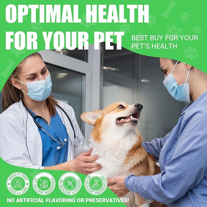 Milk Thistle for Dogs - Liver & Kidney Support, Natural Detox & Hepatic Health, with Wild Alaskan Salmon Oil & Curcumin, Omega 3 and Silymarins - Veterinarian-Formulated Herbal Supplement 2 Oz