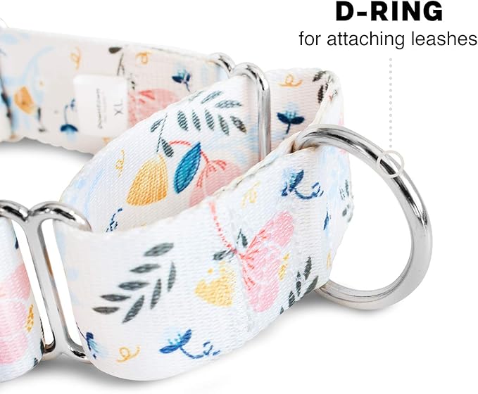 Downtown Pet Supply - Martingale Collar for Dogs - Dog Training Collar - Big, Wide & Thick Dog Collar - Escape-Proof, Weatherproof, Durable and Comfortable - Floral - Medium Dog Collar