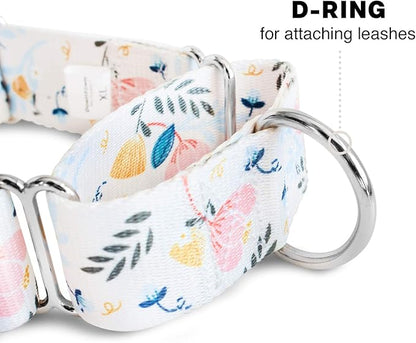 Downtown Pet Supply - Martingale Collar for Dogs - Dog Training Collar - Big, Wide & Thick Dog Collar - Escape-Proof, Weatherproof, Durable and Comfortable - Floral - Medium Dog Collar