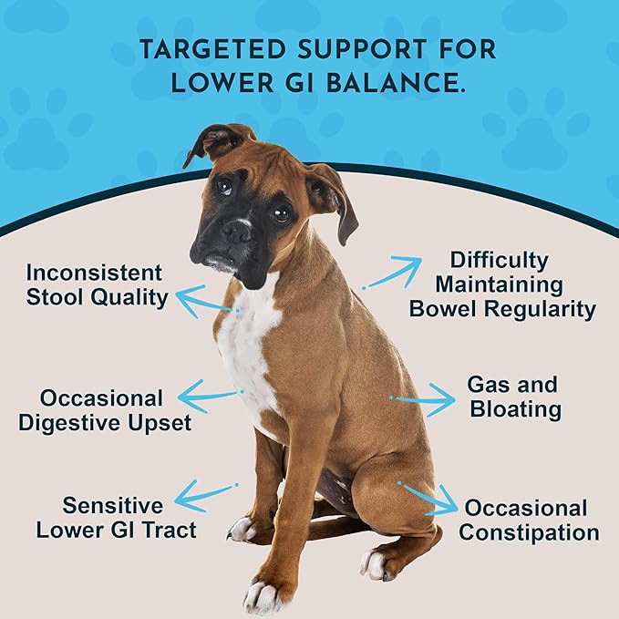 Animal Essentials Colon Rescue for Dogs & Cats - Constipation Relief, Stool Softener with Slippery Elm, Marshmallow Root, Licorice Root - 1 Fl Oz