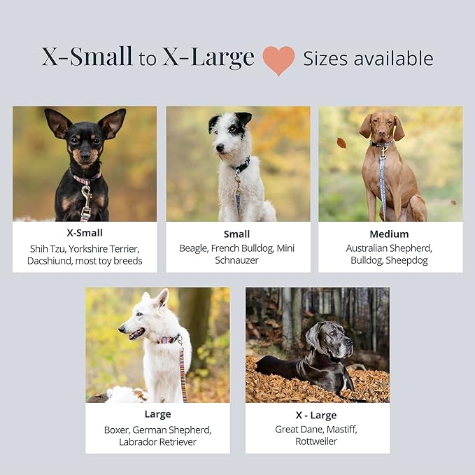 Lucky Love Dog - Adjustable Dog Collar with Easy Click Buckle for Small Dogs, Durable, & Comfortable for Male & Female Dogs, Pet Collar for Puppies & Adult Dogs - Ladybird, Small
