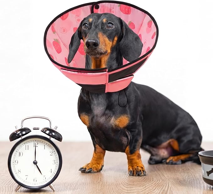 Queenmore Dog Cones for Large Dogs, Soft Dog Cone, Cone for Dogs to Stop Licking After Surgery, Adjustable Elizabethan Collar for Pet to Prevent Licking Wounds, Strawberry L
