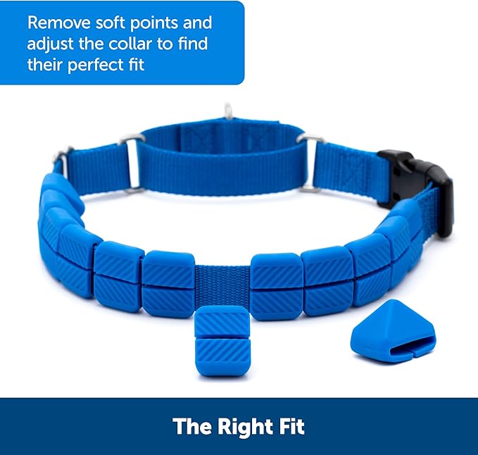 PetSafe Soft Point Training Collar - Comfortable No-Pull Adjustable Quick-Release Collar with Removable Soft Rubber Points - Pain-Free Training for Better Leash Manners - Medium - Blue