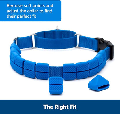 PetSafe Soft Point Training Collar - Comfortable No-Pull Adjustable Quick-Release Collar with Removable Soft Rubber Points - Pain-Free Training for Better Leash Manners - Medium - Blue
