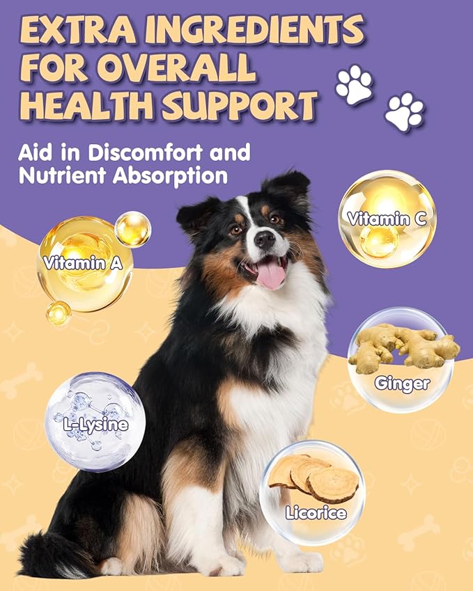 EagouDiary Dog Cough Treatment,Liquid Kennel Cough Treatment with Lysine, Mullein, Vitamins,Natural Supplement for Canine Respiratory, Sneezing, Dry, Wet & Barky Relief (60mL/2 Fl Oz)
