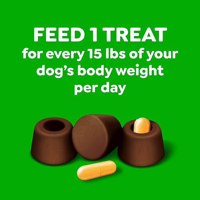 Greenies Pill Pockets for Dogs Large Size, Dog Treat Pouch for Capsule Medication, Hickory Smoke Flavor, 7.9 oz. Pouch