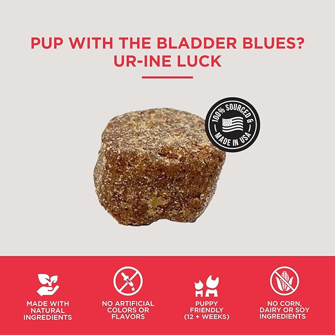 Natural Rapport Dog Bladder Support - The Only Bladder Support Chews Dogs Need - 120ct Supplements that Contain Cranberry and D- Mannose to Aid in Kidney Function