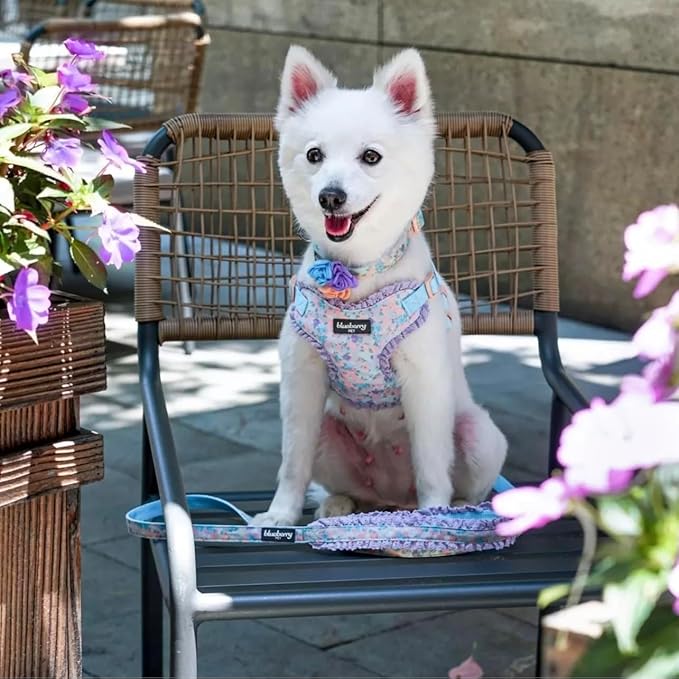 Blueberry Pet Dog Collar for Large Dogs, Lovely Floral Print in Lavender, Pink Girl Dog Collars, Adjustable Large Dog Collar with Detachable Flower, Stylish Dog Collars for Big Dogs