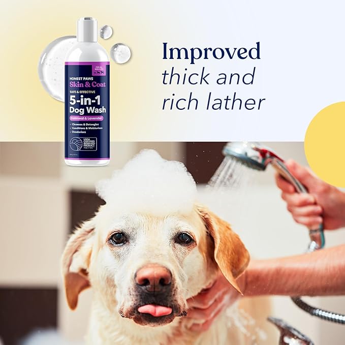 Honest Paws Dog Shampoo and Conditioner - Premium Dog Wash for Allergies and Dry, Itchy, Moisturizing for Sensitive Skin - Sulfate Free, Plant Based, All Natural - Oatmeal & Lavender - 16 Fl Oz