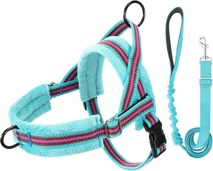 Lukovee No Pull Dog Harness and Leash Set, Soft Padded Small Dog Harness, Neck & Chest Adjustable Reflective Vest Puppy Harness with 4ft Lightweight Anti-Twist Dog Leash for Small Dogs (XS, 01-LBL)
