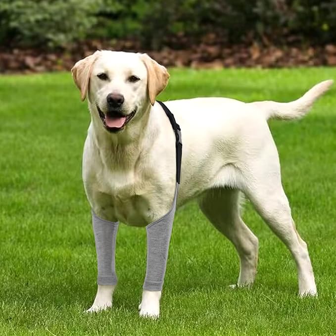 Dog Recovery Suit for Front Legs, Dog Recovery Sleeves After Surgery with Elastic Band, Soft Protective Elbow Braces for Medium Large Dogs, Cone Collar Alternative to Stop Licking Leg Wounds,Grey,L