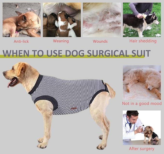 Dog Recovery Suit, Large Dog Surgical Neuter Suit, Surgery Recovery Shirts for Male Neuter, Puppy Spay Bodysuit Female, Anti Licking Breathable Sleeveless Onesie, Gray, L