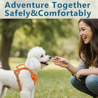 BARKBAY Dog Harness No Pull with ID Tag Pocket - Heavy Duty, Reflective, Easy Control for Large Dogs(Orange,S)
