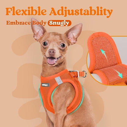 rabbitgoo Small Dog Harness, Step-in Soft Mesh Puppy Vest with Safety Buckle, Breathable Reflective Pet Harness for Extra Small Dogs, Orange XXS