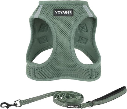 Best Pet Supplies Voyager Step-in Air All Weather Mesh Harness and Reflective Dog 5ft Leash Combo with Neoprene Handle, for Small, Medium and Large Breed Puppies - Set (Moss Green), Large