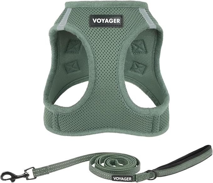 Best Pet Supplies Voyager Step-in Air All Weather Mesh Harness and Reflective Dog 5ft Leash Combo with Neoprene Handle, for Small, Medium and Large Breed Puppies - Set (Moss Green), X-Large