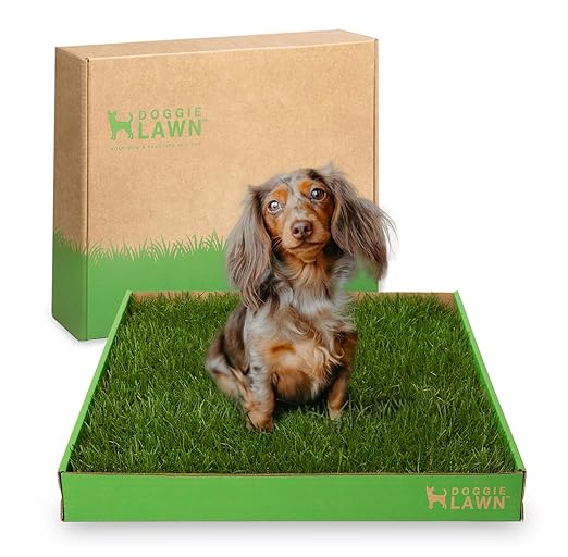 DoggieLawn Real Grass Puppy Pee Pads- 24 x 16 Inches - Perfect Indoor Litter Box for Dogs - No Mess, Easy-to-Use - Potty Training for Pets - Eco-Friendly Disposable Bathroom with Real Living Grass