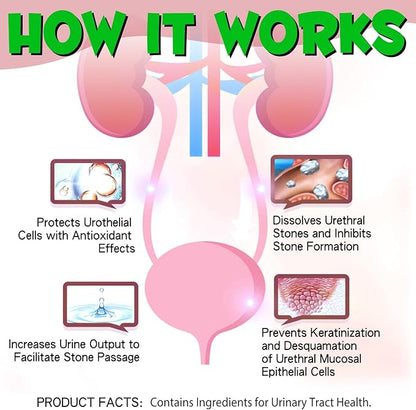 Feline Urinary Tract Health 2Pack, Cat UTI Remedy, Natural Herbal Supplement 4 fl oz, Supporting Regular Care for Urinary Health