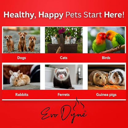 2-Pack Styptic Powder for Dogs, Cats, and Birds (2 oz) by Evo Dyne | Fast-Acting Blood Stop Powder for Pets | Quick Stop Bleeding for Dog Nail Clipping, Grooming, Cuts and More