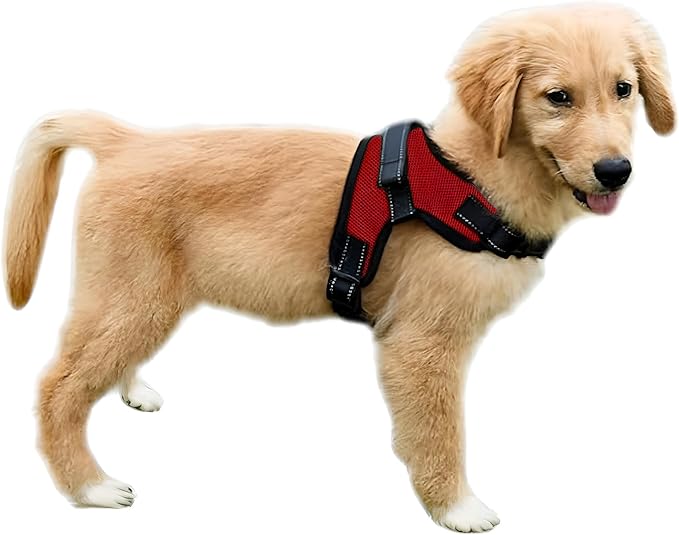 No Pull Reflective Adjustable Dog Harness With Handle- Comfortable Soft All Weather Mesh, Easy On Puppy Harness For Small Medium and Large Dogs (Red) Medium