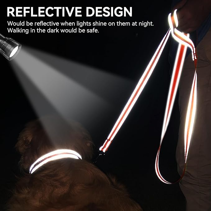 Joytale Dog Leash, 4 FT Double-Sided Reflective, Padded Handle Nylon Heavy Duty Leashes for Small Dogs Walking, Orange