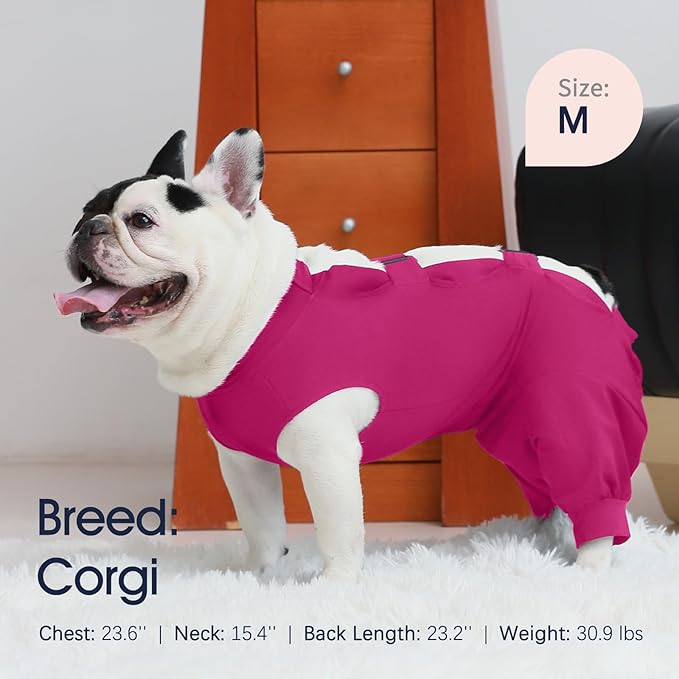 IECOii Dog Recovery Suit - Soft Surgical Onesie for Post-Surgery Dogs, Protects Abdominal & Rear Leg Wounds, Stops Licking, L-Rosered