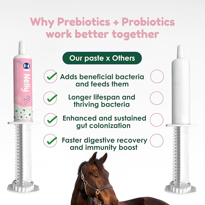 Horse Probiotic Paste – 8 Billion CFU Equine Probiotic with Prebiotics & Vitamins – Hindgut Health, Digestive Balance & Feed Efficiency Support – 80CC