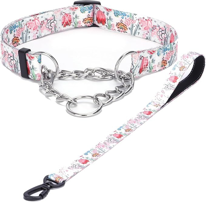 Martingale Dog Collar and Leash Set, Stainless Steel Chain, No Pull Training Collar with Flower Design, for Small, Medium, Large Dogs (NO26, L)