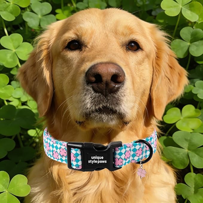 Unique style paws Dog Collar Plastic Buckle with Pendant Puppy Collar for Saint Patrick Grid Clover for Small Medium Large Boys Girls Dogs
